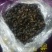 九香虫统货