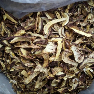 黄牛肝菌粗柄羊肚菌一级