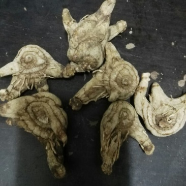 白芨选装一等二等三等