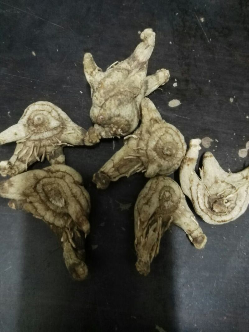 白芨选装一等二等三等