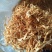 大量批发北虫草虫草花散装次草适合打粉提取等