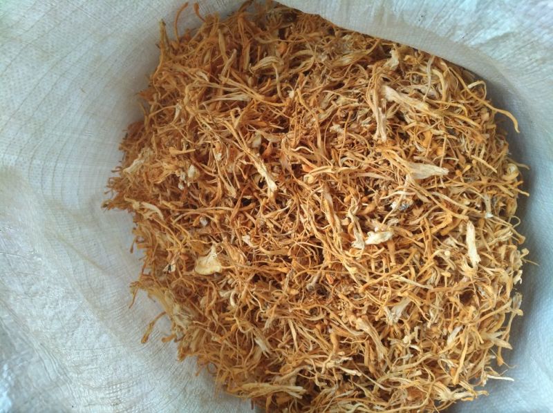 大量批发北虫草虫草花散装次草适合打粉提取等