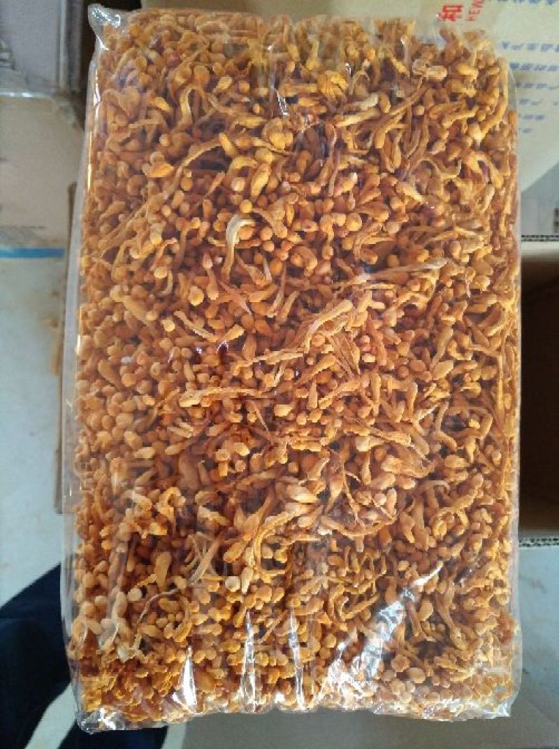 批发零售北虫草虫草花排草，中间干净排列整齐