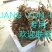 地龙全开无泥无水份