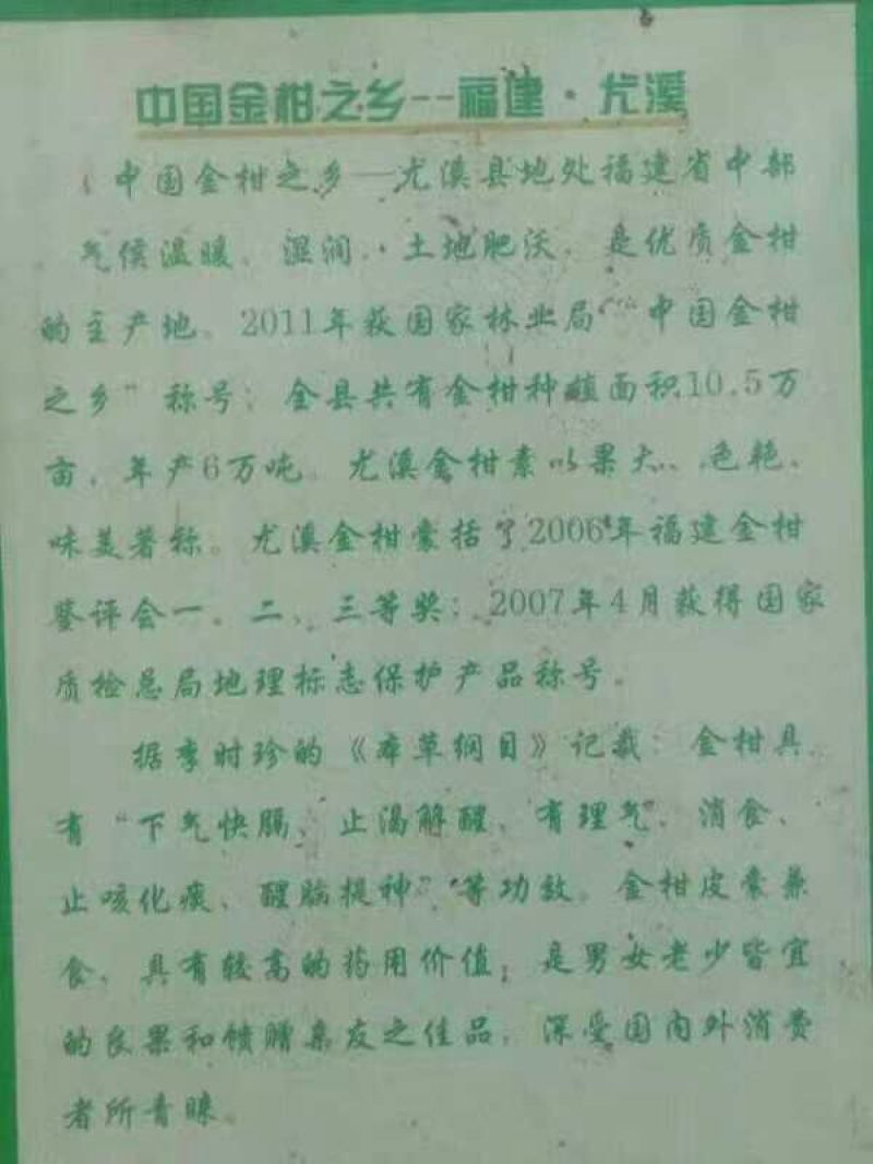 金桔3~3.5cm，福建金桔主要基地，品质好，耐运输