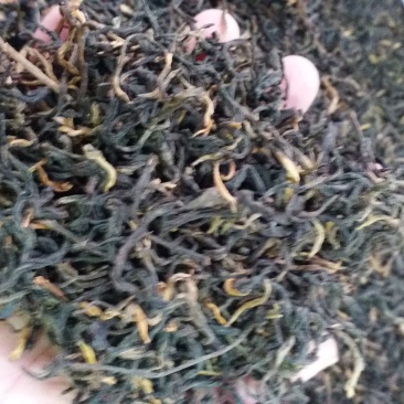 红茶云南红茶滇红茶