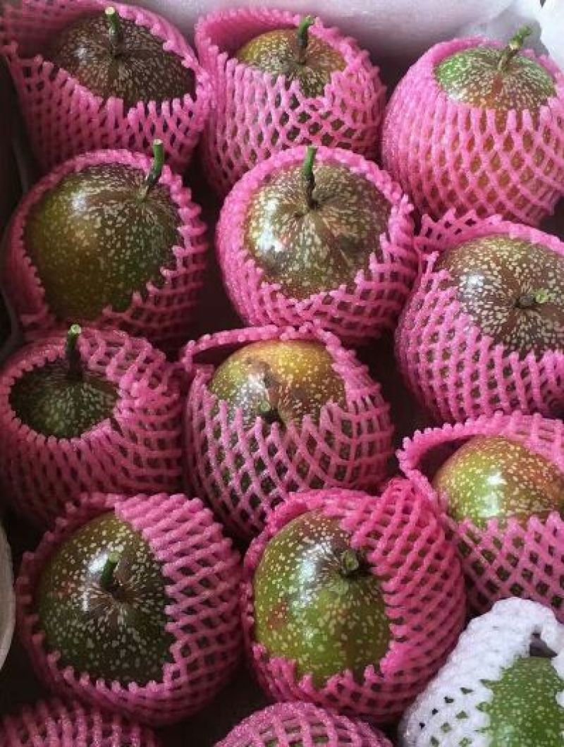 黄金百香果苗