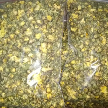 菊花茶特级