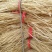 红薯粉条中粉