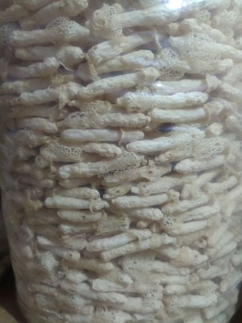 竹荪一级