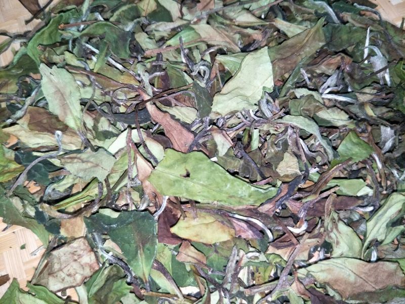 福鼎白茶一级