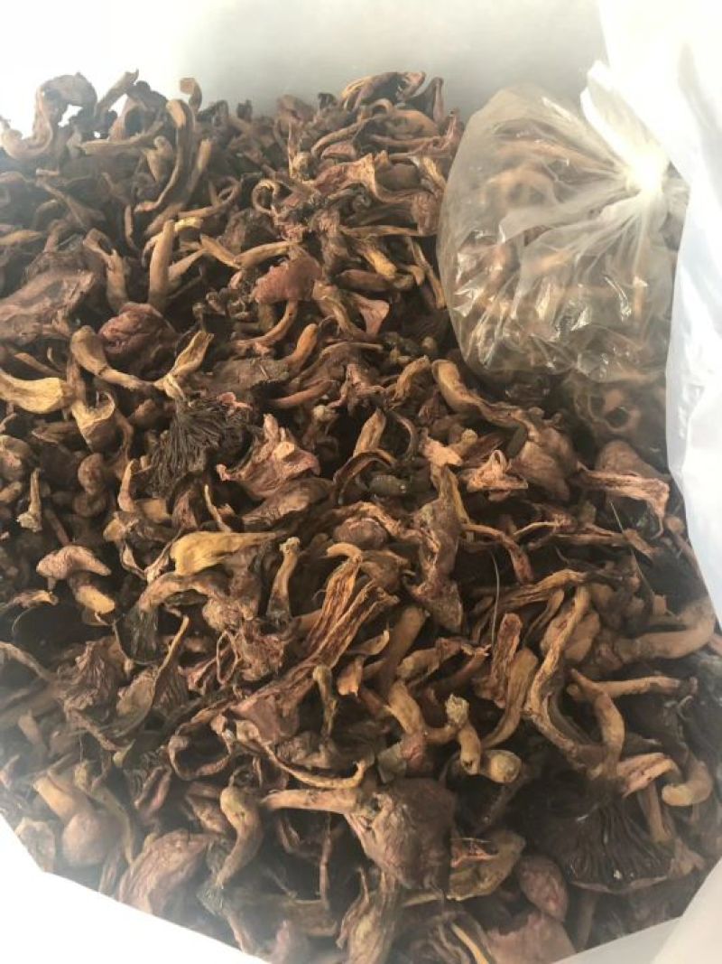 松蘑二级