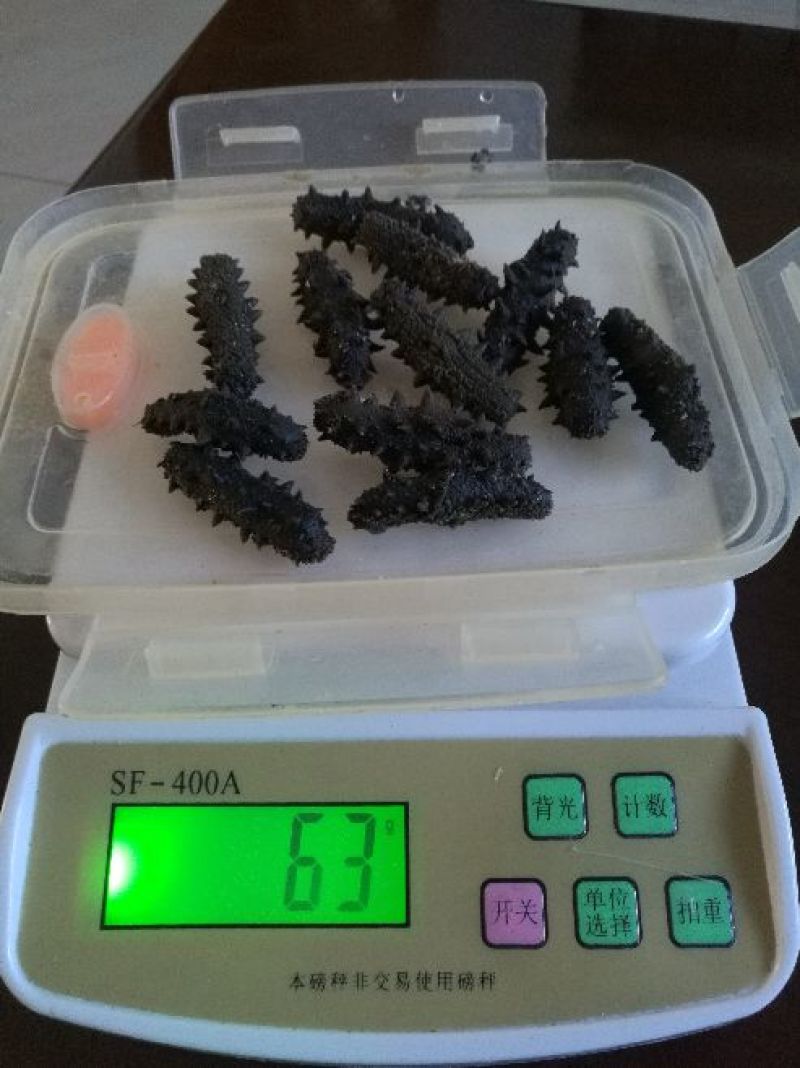 黑海参9元一个，量大批发！