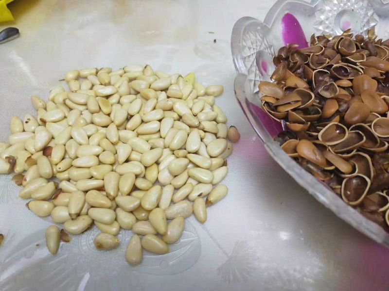 东北大颗粒熟松子香脆可口一级