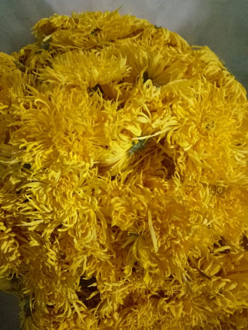 金丝皇菊茶一级