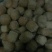 豆腐泡