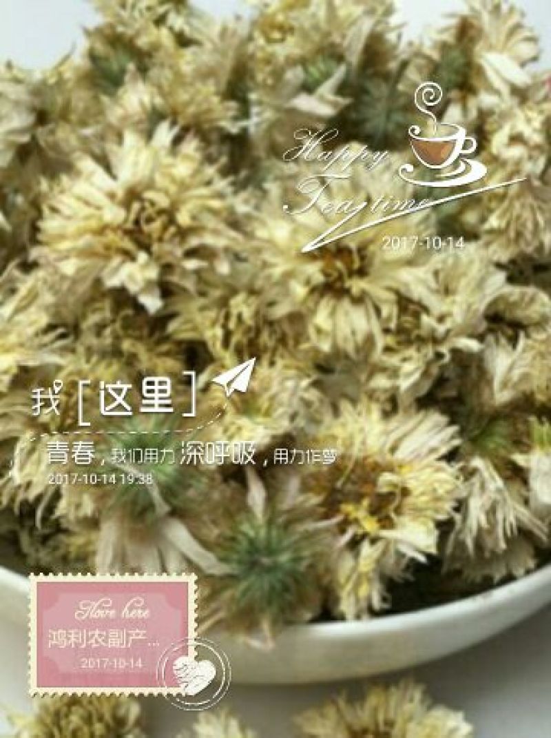 药用菊花散装