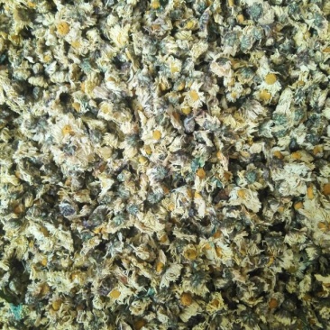 菊花茶一级