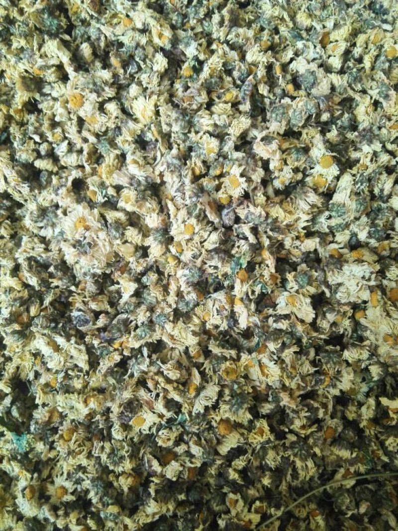 菊花茶一级