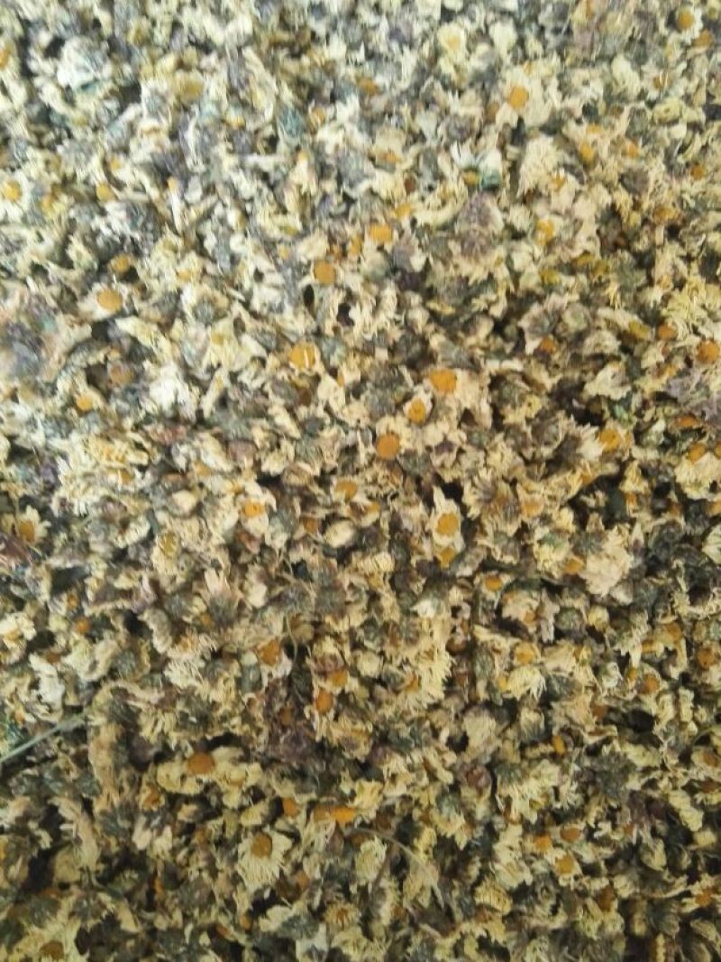 菊花茶一级