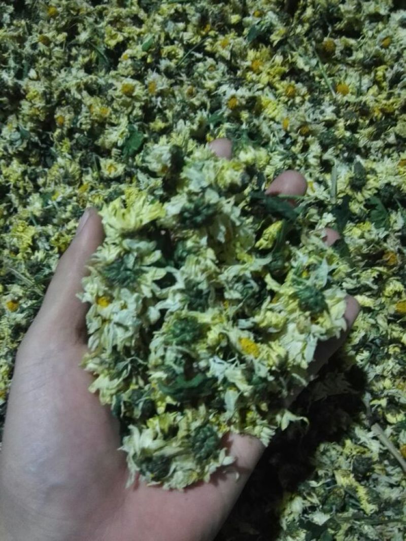 菊花茶一级