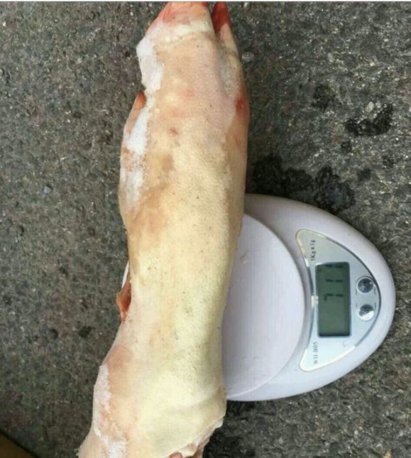 猪蹄包装