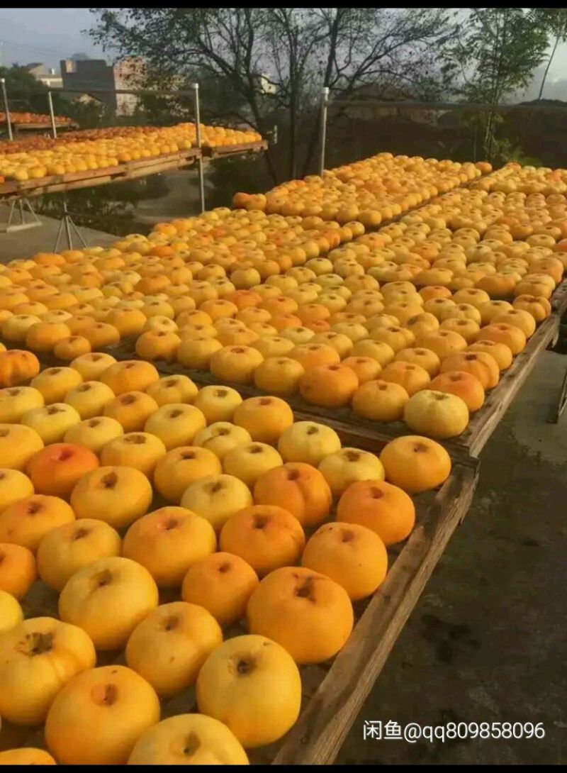 柿饼1~2两