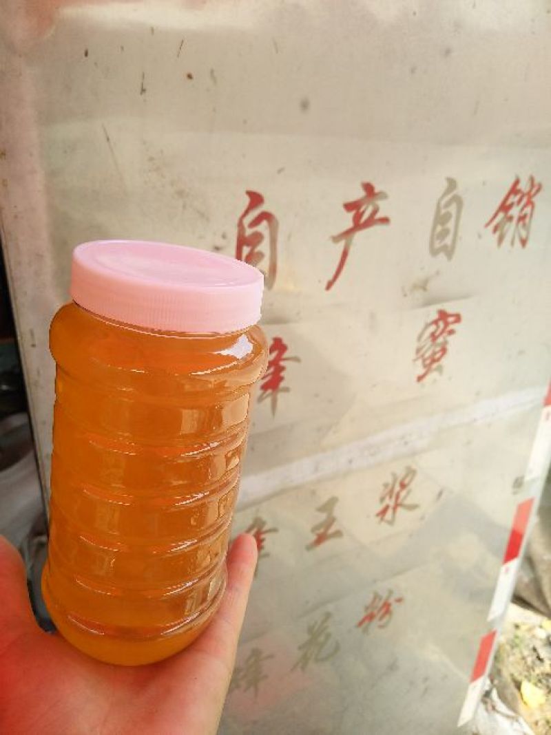 土蜂蜜包邮百花蜜高山油菜花蜜农家自家养殖销售