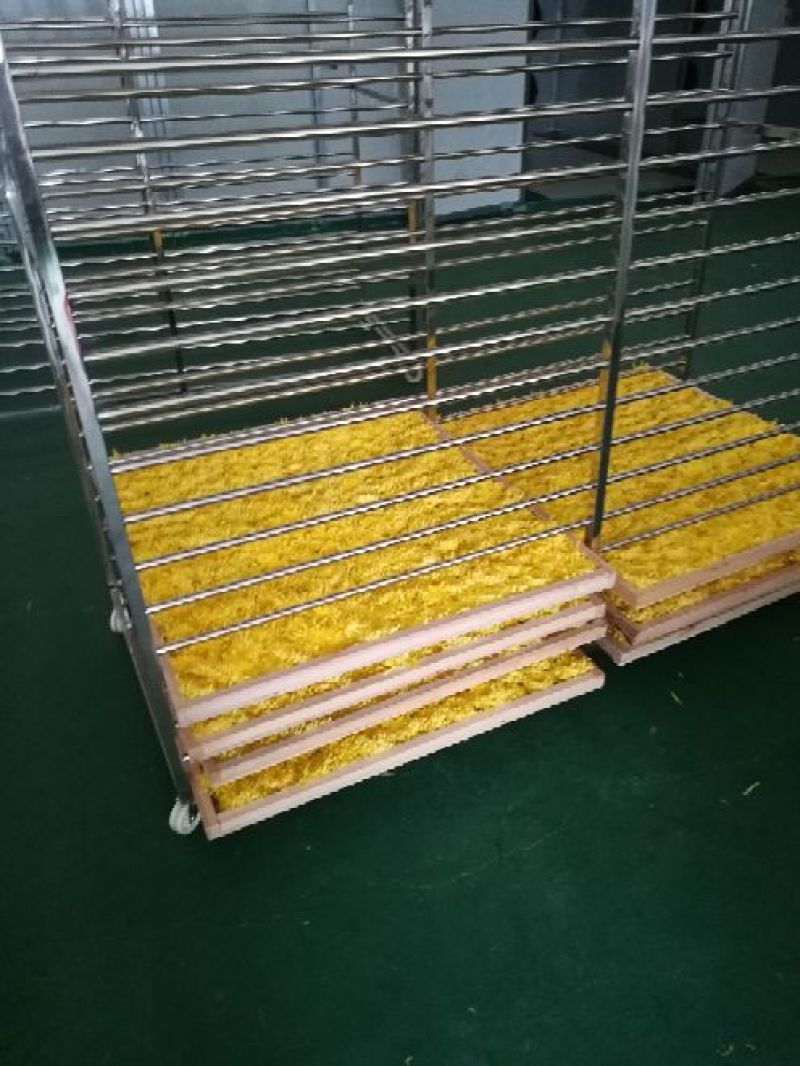 金丝皇菊茶一级