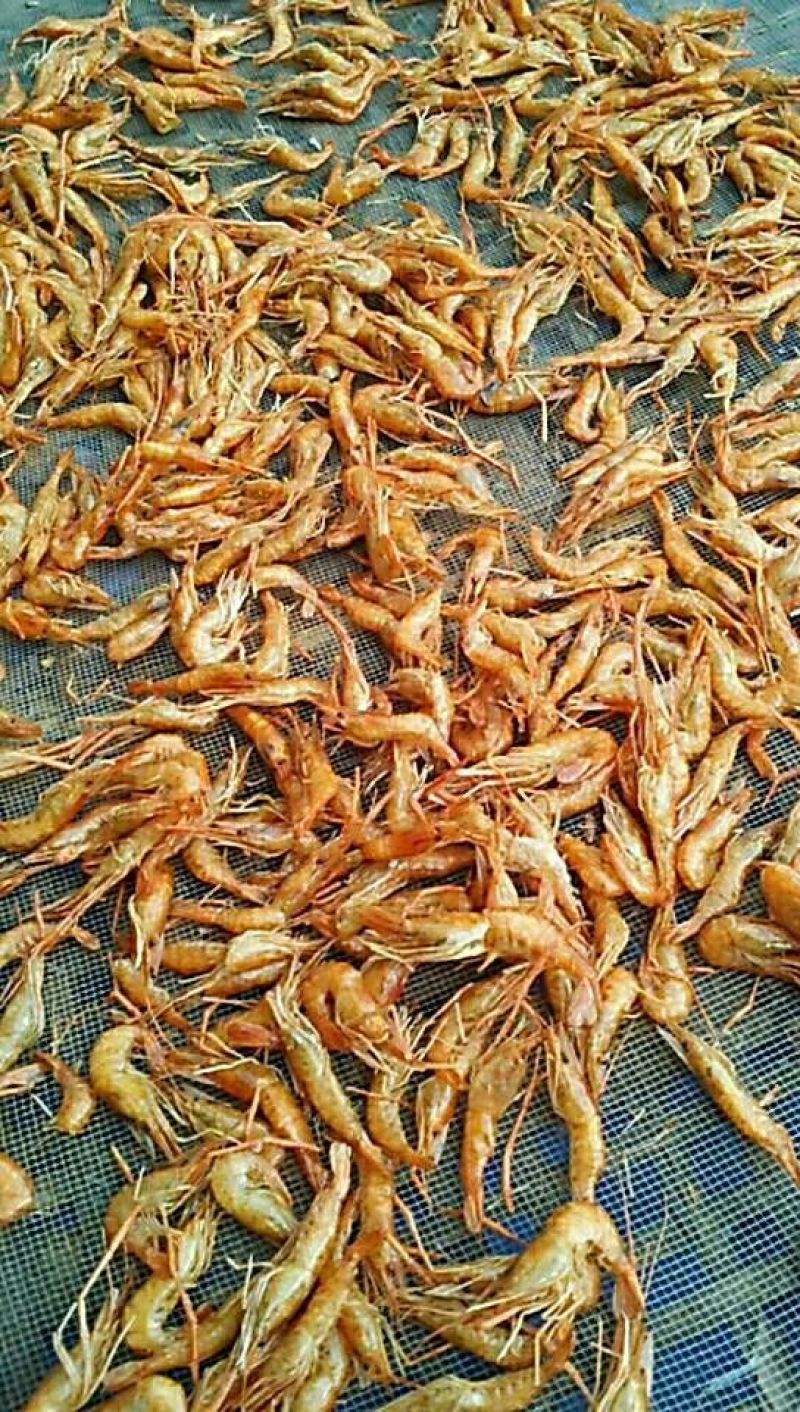 虾皮一级