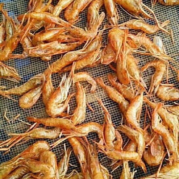 虾皮一级