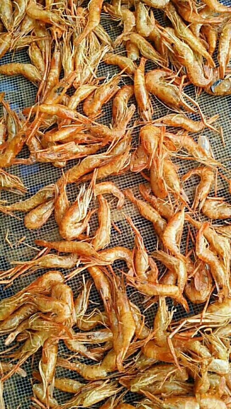 虾皮一级