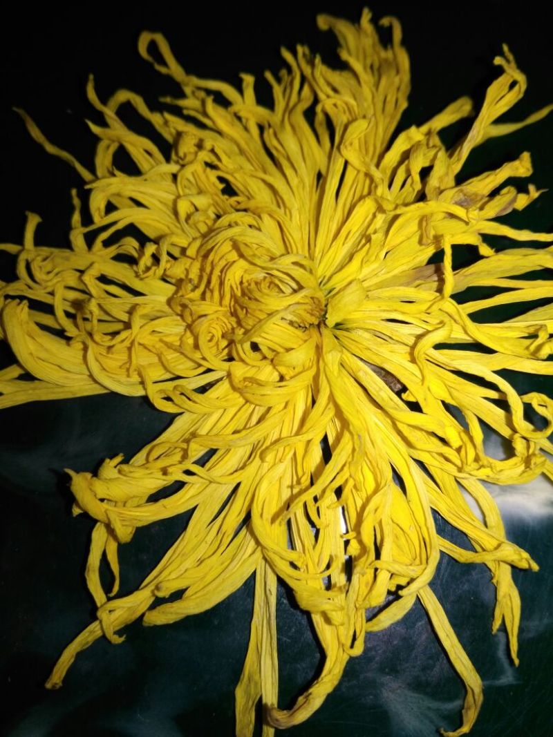 菊花茶一级