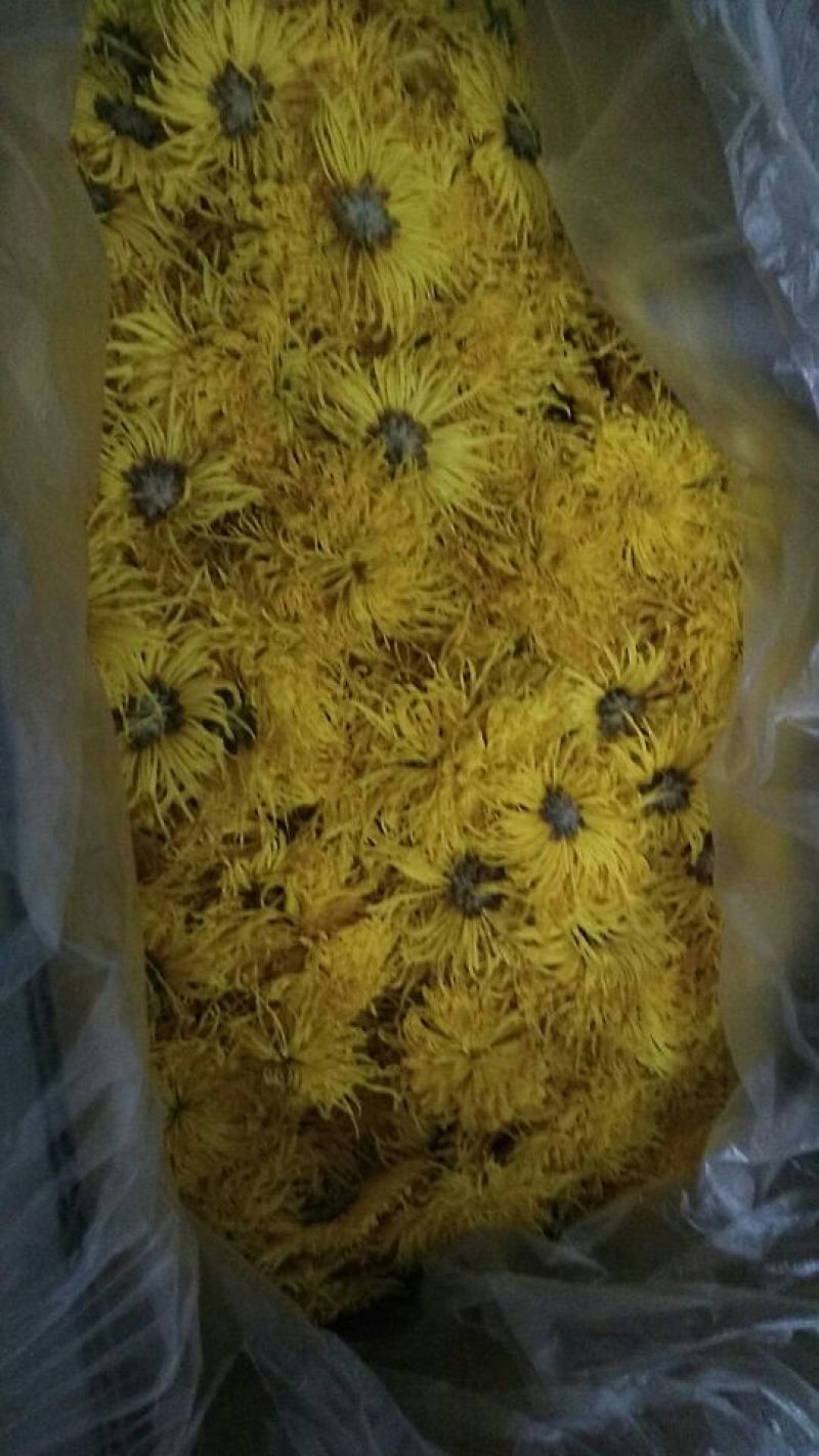 菊花茶一级