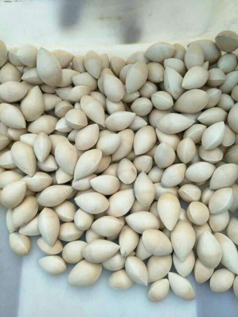 银杏果
