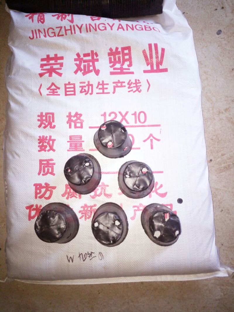 新年回礼价1钱2个，五孔，一款拼质量，拼价格，拼实力