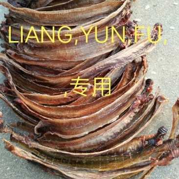 地龙全开