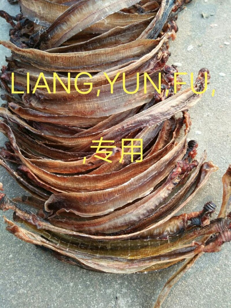 地龙全开