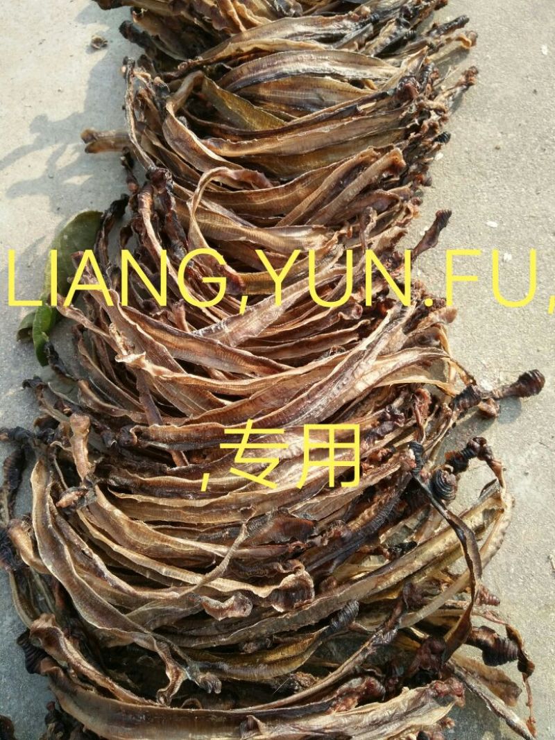 地龙全开