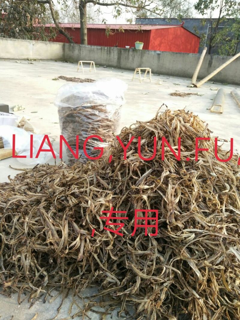 地龙全开