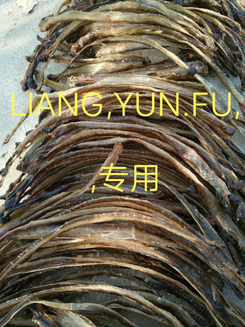 地龙全开