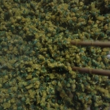 野菊花散装