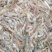 青虾冰鲜虾26~30只/kg