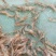 青虾冰鲜虾26~30只/kg