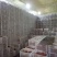 2020新龙薯9号3两到二斤商品薯红心