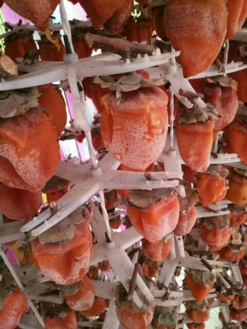 柿饼1两以下