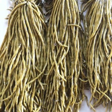 酸豆角（湖南特产可加工）