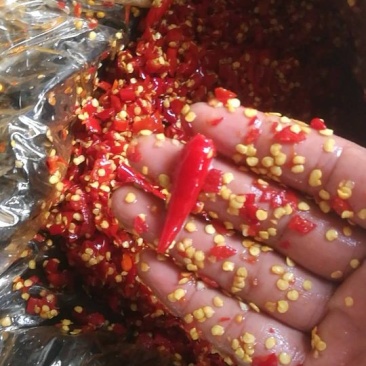 剁椒（散装剁椒，可加工桶装）