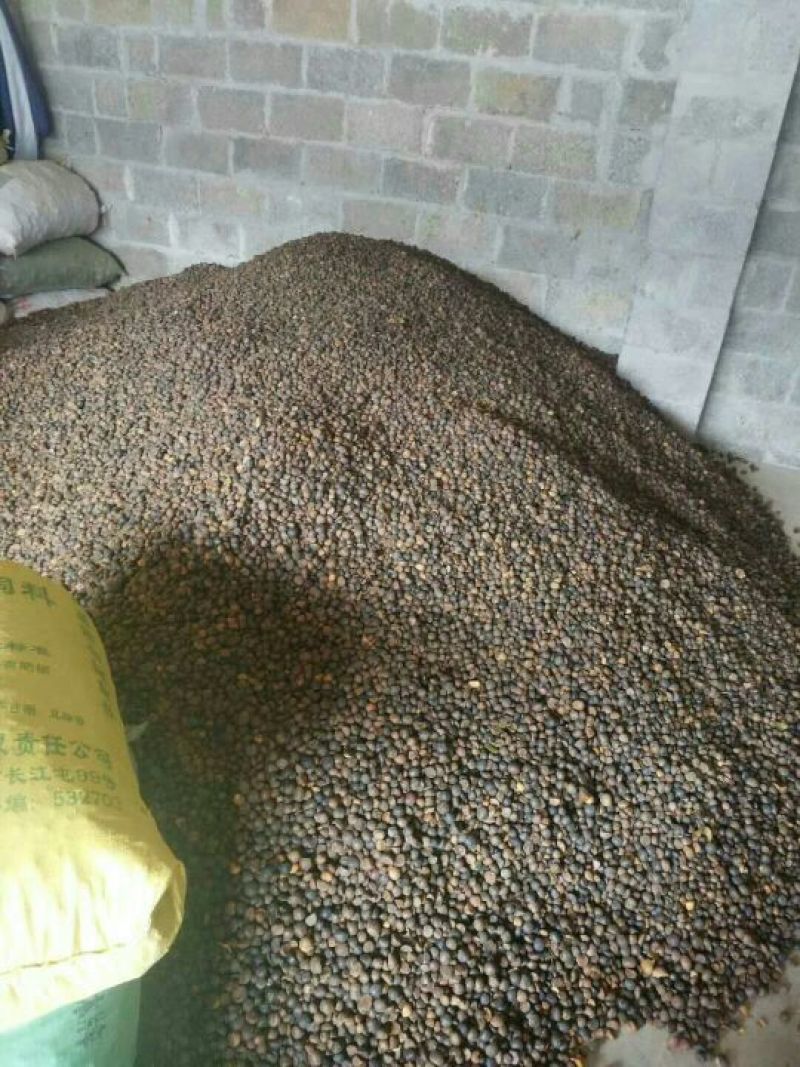油茶籽99%以上