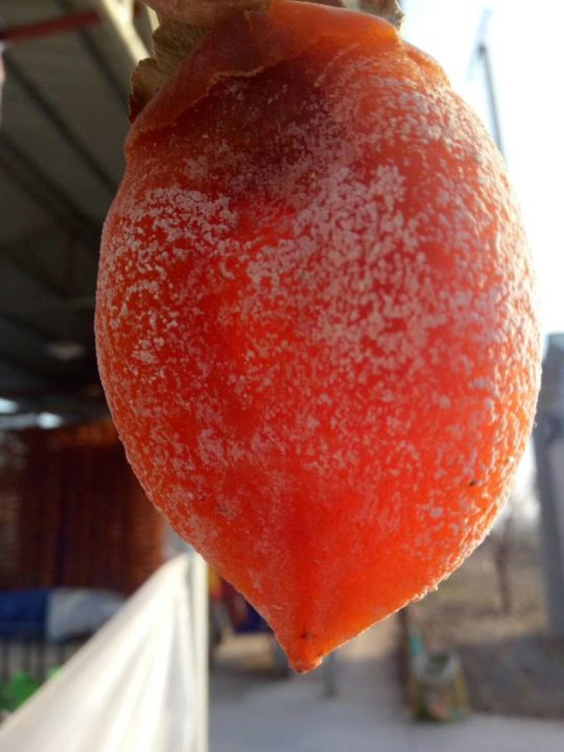 柿饼1~2两